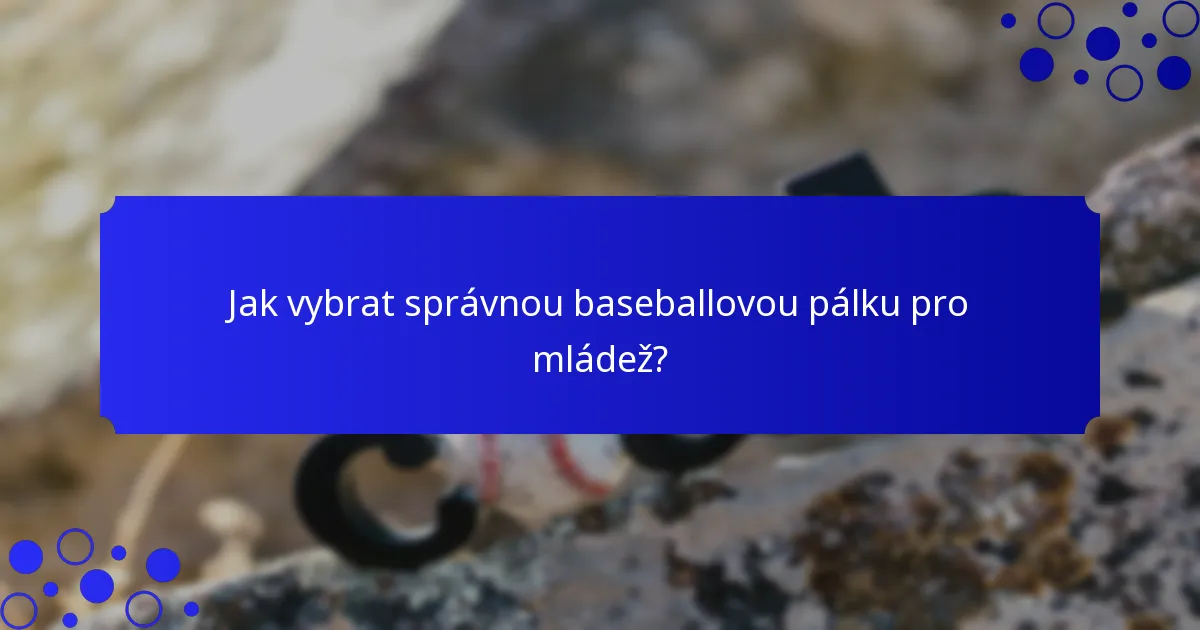 Jak vybrat správnou baseballovou pálku pro mládež?