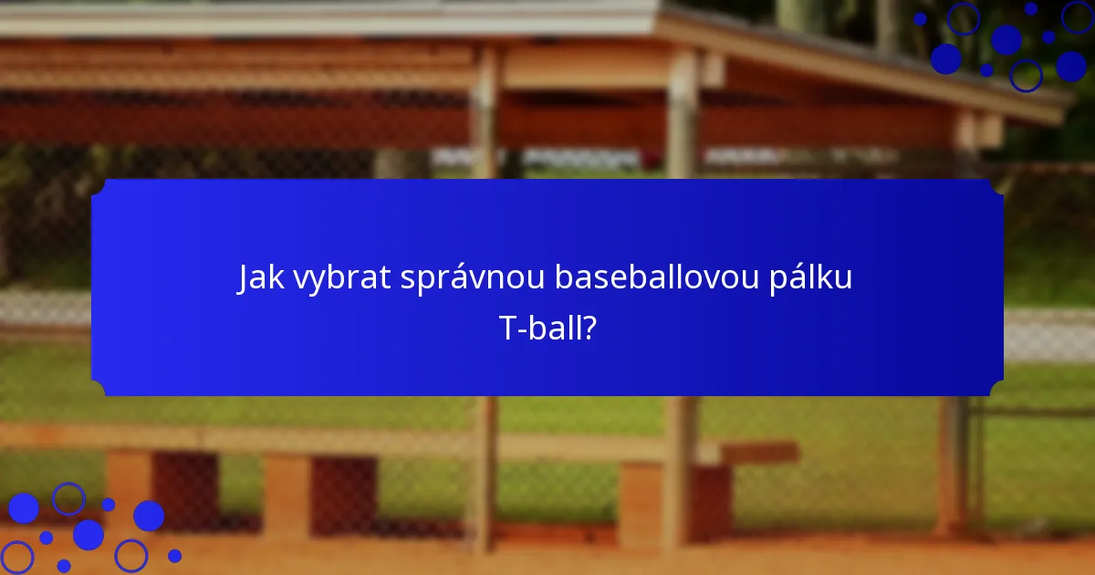 Jak vybrat správnou baseballovou pálku T-ball?