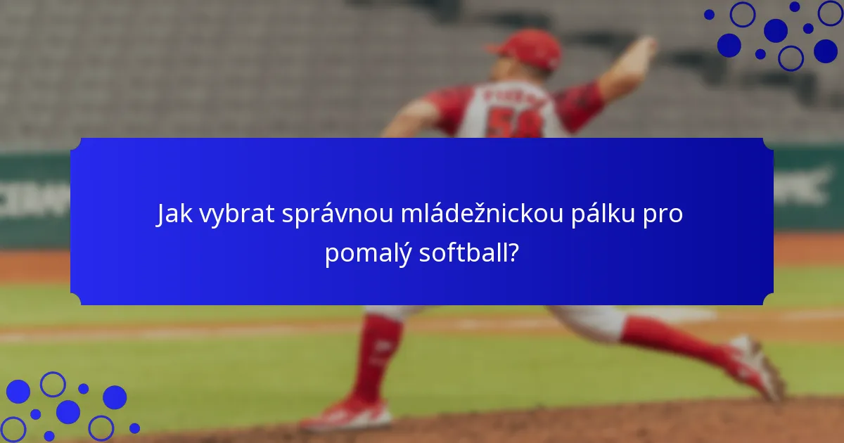 Jak vybrat správnou mládežnickou pálku pro pomalý softball?