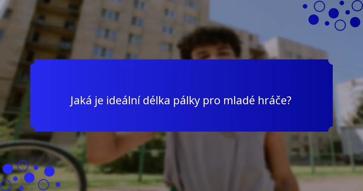 Jaká je ideální délka pálky pro mladé hráče?