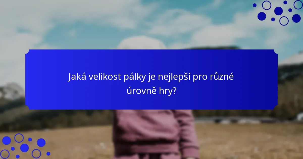 Jaká velikost pálky je nejlepší pro různé úrovně hry?