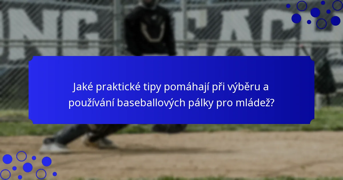Jaké praktické tipy pomáhají při výběru a používání baseballových pálky pro mládež?