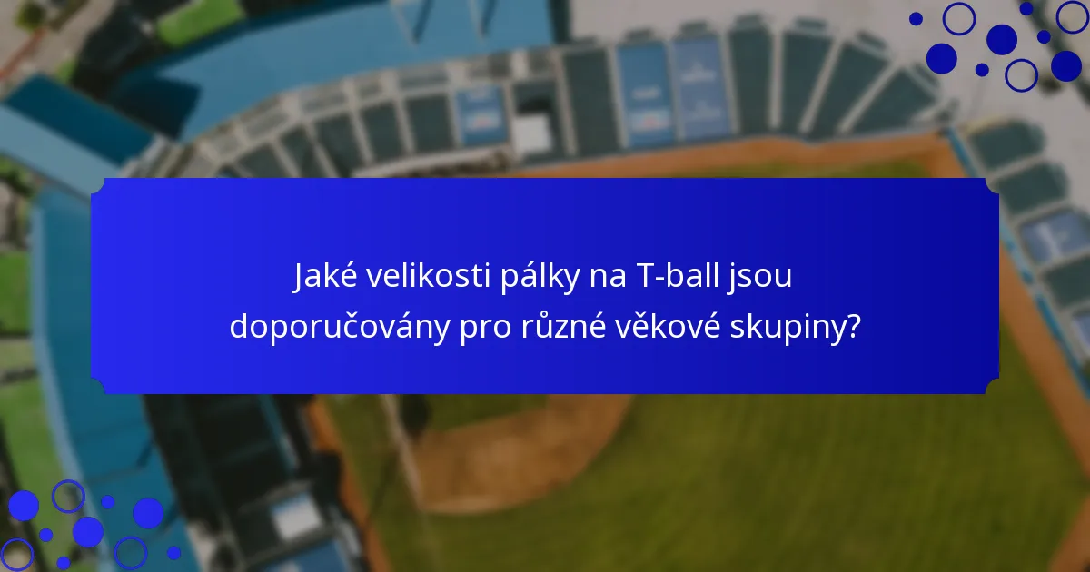 Jaké velikosti pálky na T-ball jsou doporučovány pro různé věkové skupiny?